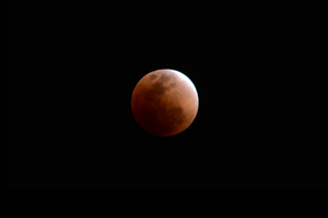 020102f.jpg